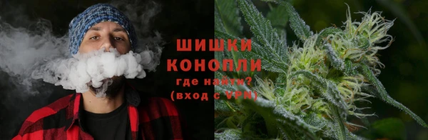 дживик Новодвинск