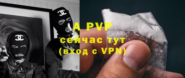 дживик Новодвинск