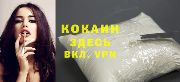 дживик Новодвинск
