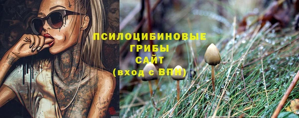 дживик Новодвинск